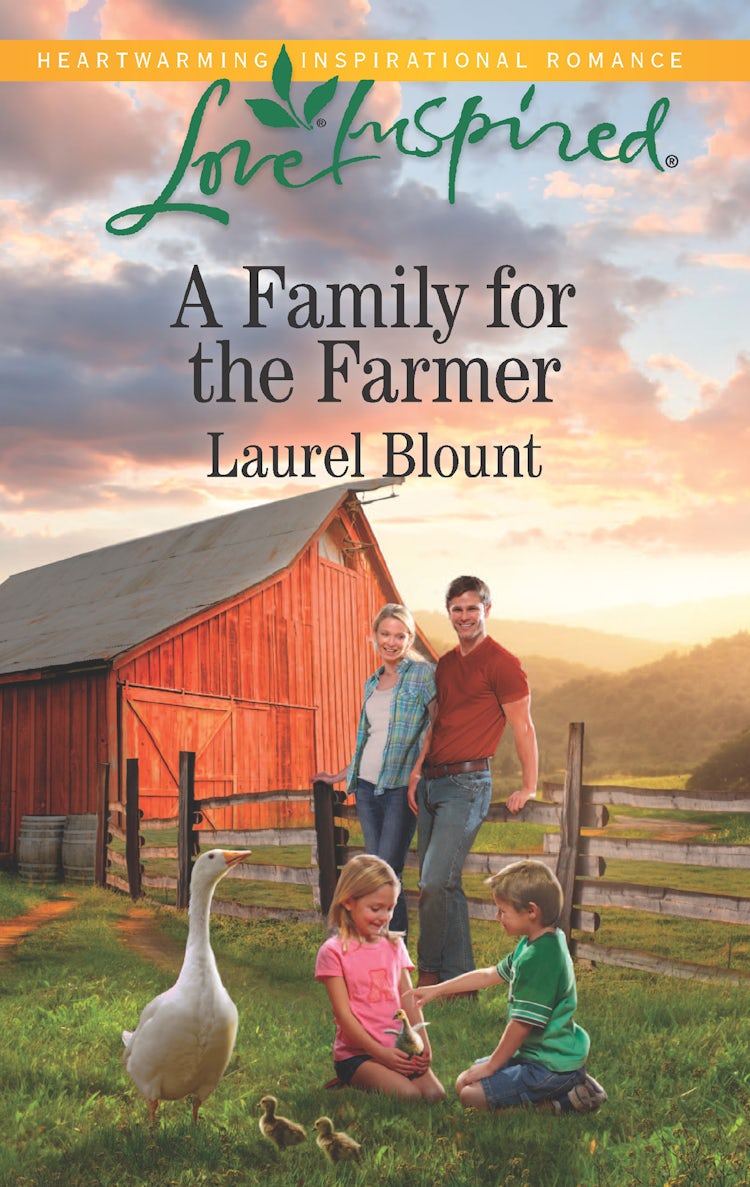 Cover image for A Family For The Farmer, isbn: 9781489219244