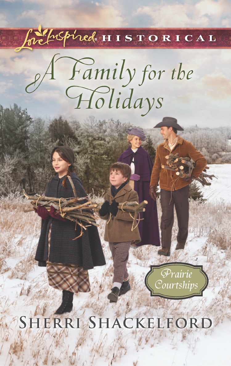 Cover image for A Family For The Holidays, isbn: 9781489219350