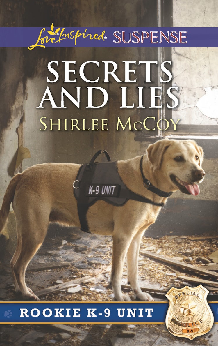 Cover image for Secrets And Lies, isbn: 9781489219374