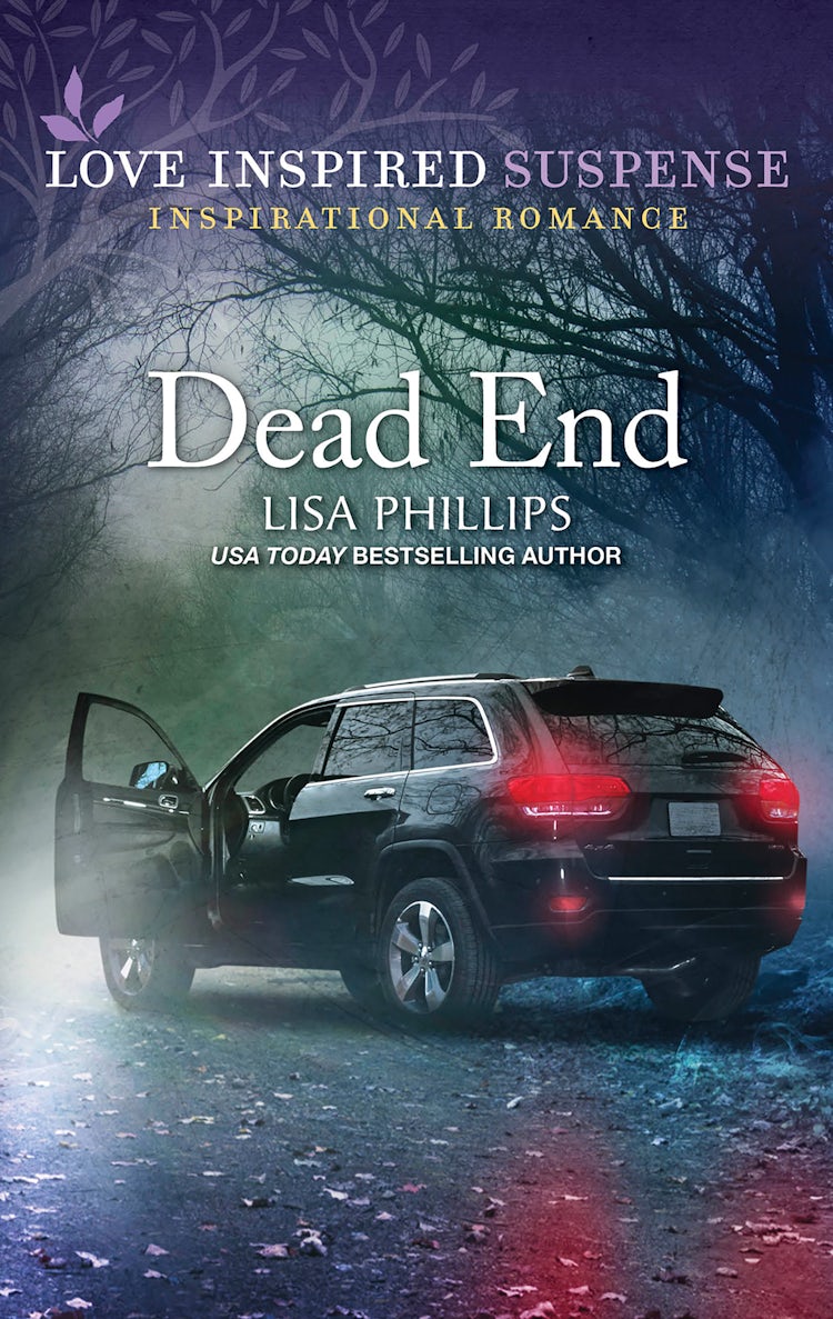 Cover image for Dead End, isbn: 9781489219411