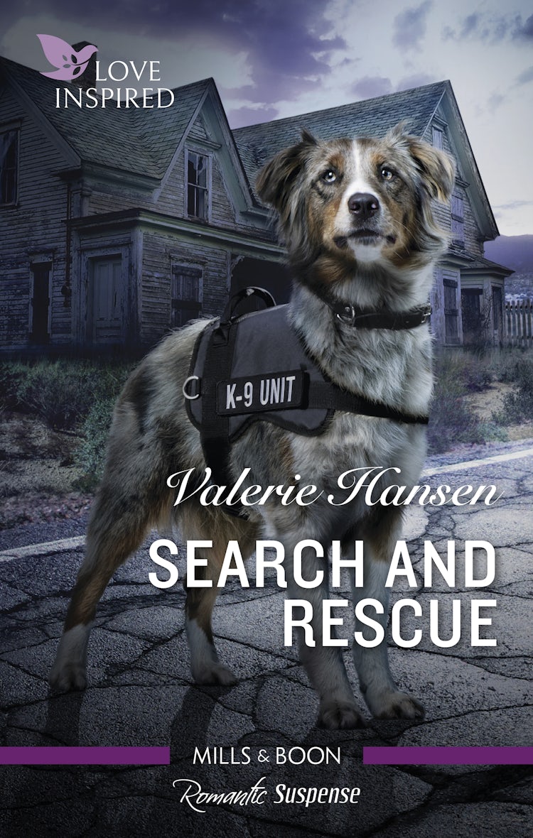 Cover image for Search And Rescue, isbn: 9781489219435