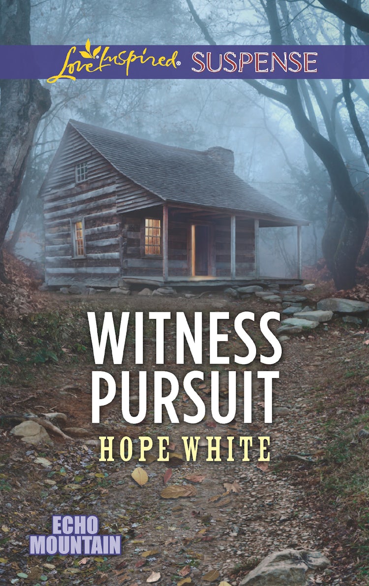 Cover image for Witness Pursuit, isbn: 9781489219466