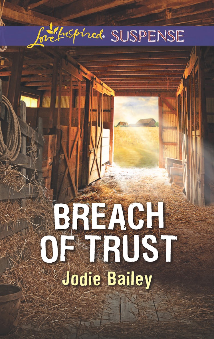 Cover image for Breach Of Trust, isbn: 9781489219473