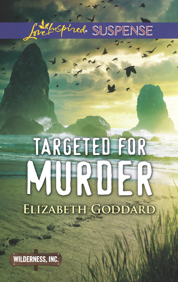 Cover image for Targeted For Murder, isbn: 9781489219527