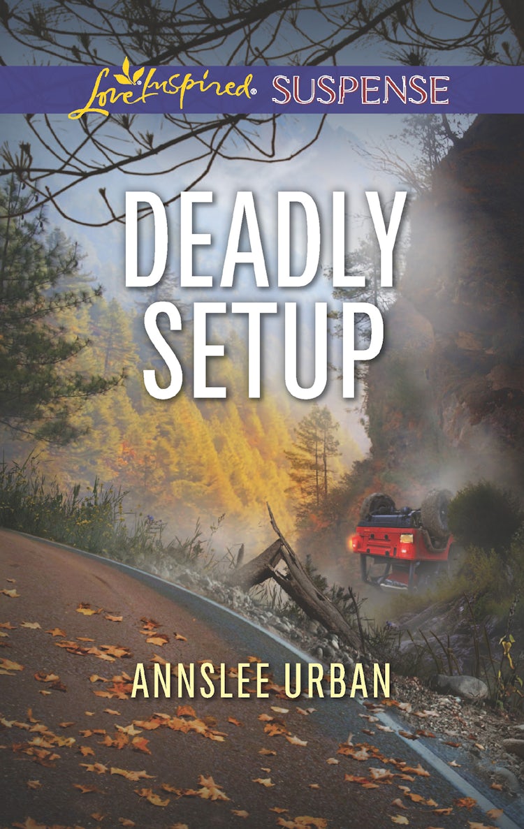 Cover image for Deadly Setup, isbn: 9781489219541