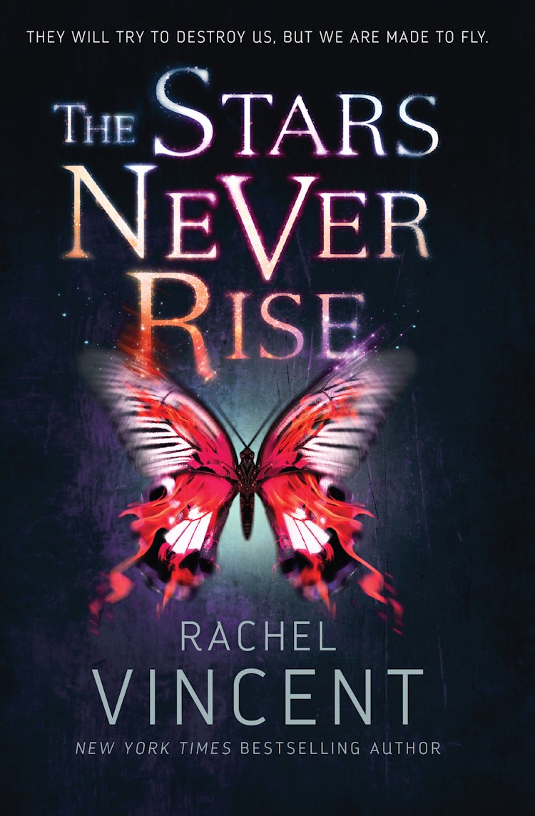 Cover image for The Stars Never Rise, isbn: 9781489219589