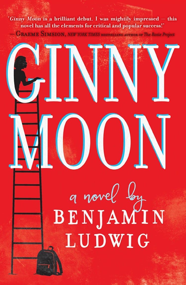 Cover image for Ginny Moon, isbn: 9781489220561