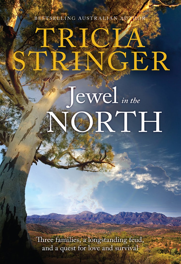 Cover image for Jewel In The North, isbn: 9781489220622
