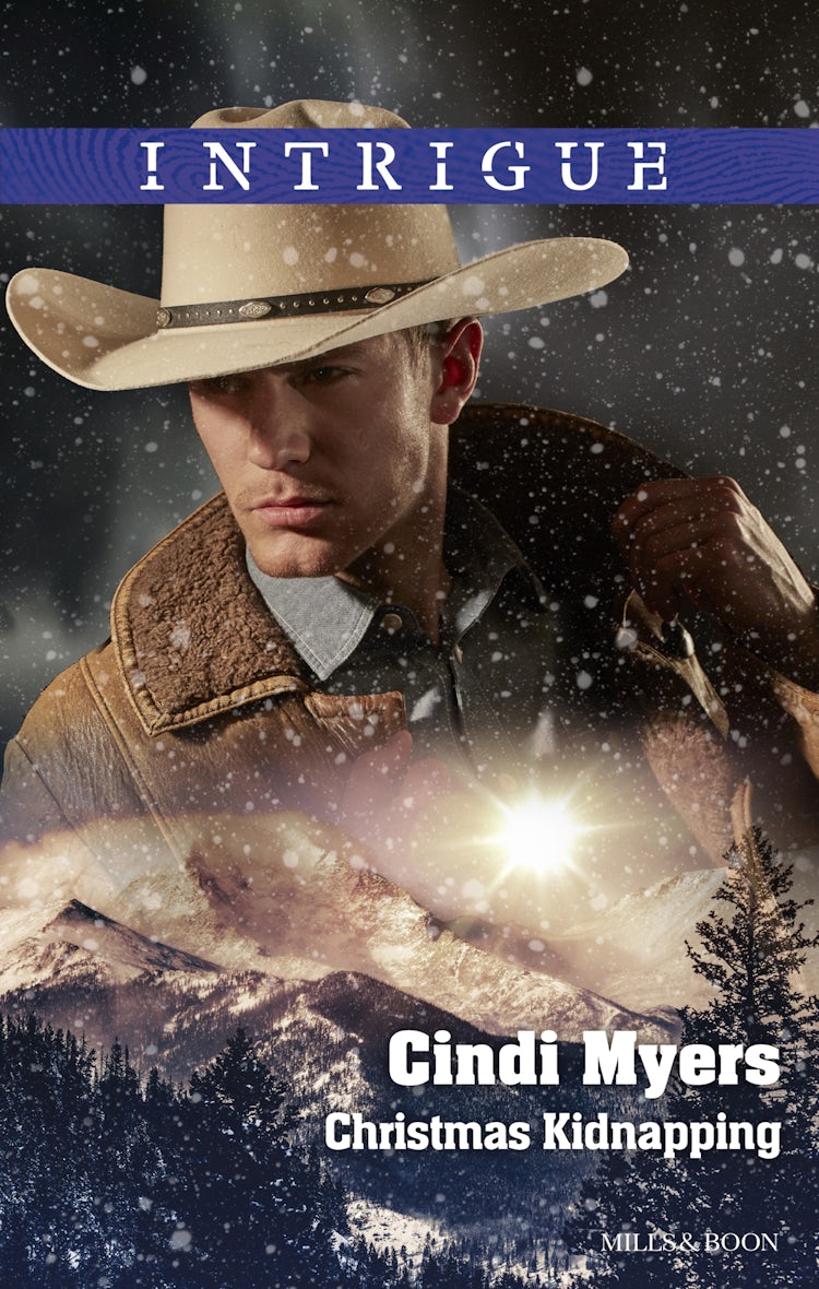 Cover image for Christmas Kidnapping, isbn: 9781489228192