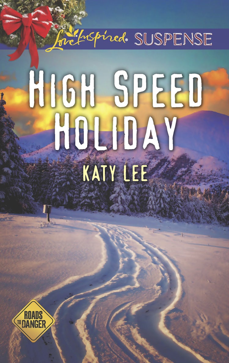 Cover image for High Speed Holiday, isbn: 9781489229809
