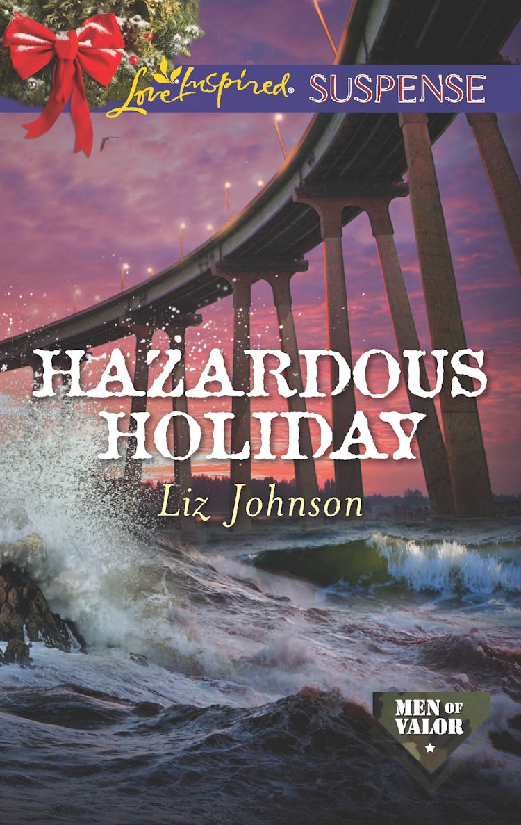 Cover image for Hazardous Holiday, isbn: 9781489229878
