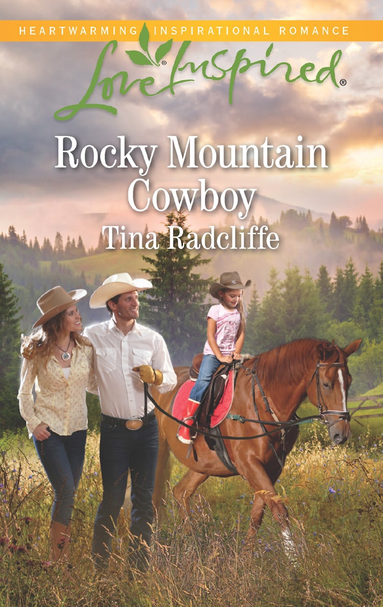 Cover image for Rocky Mountain Cowboy, isbn: 9781489232588