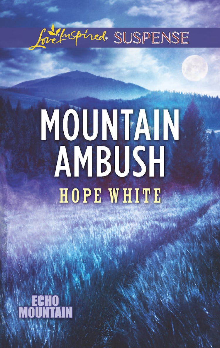 Cover image for Mountain Ambush, isbn: 9781489232656