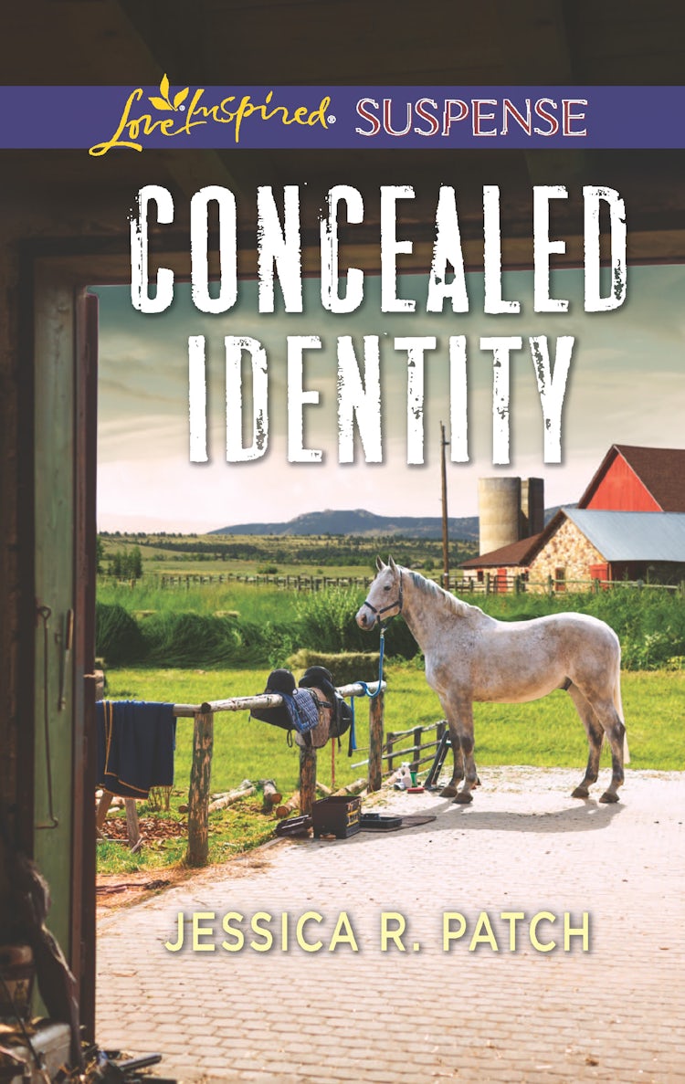 Cover image for Concealed Identity, isbn: 9781489232687