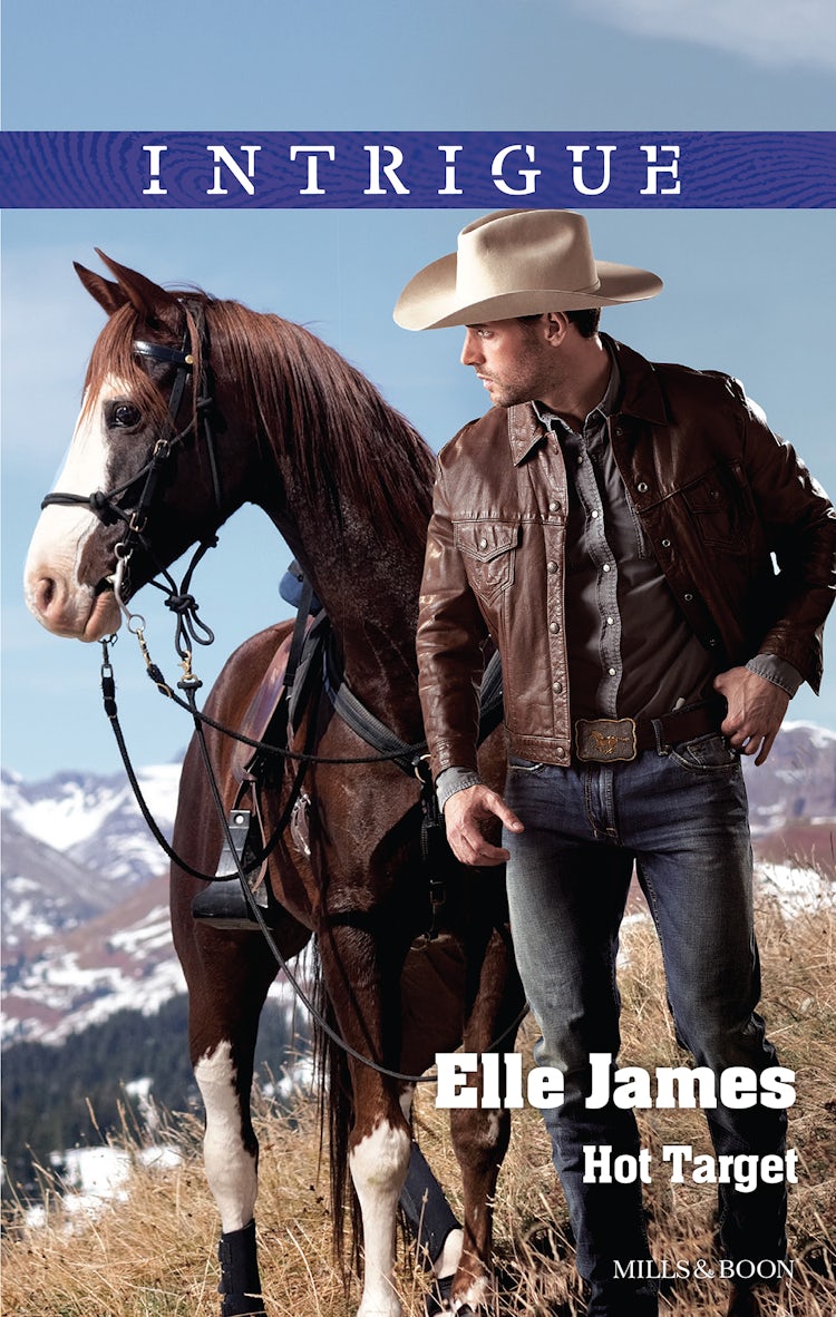 Cover image for Hot Target, isbn: 9781489234414