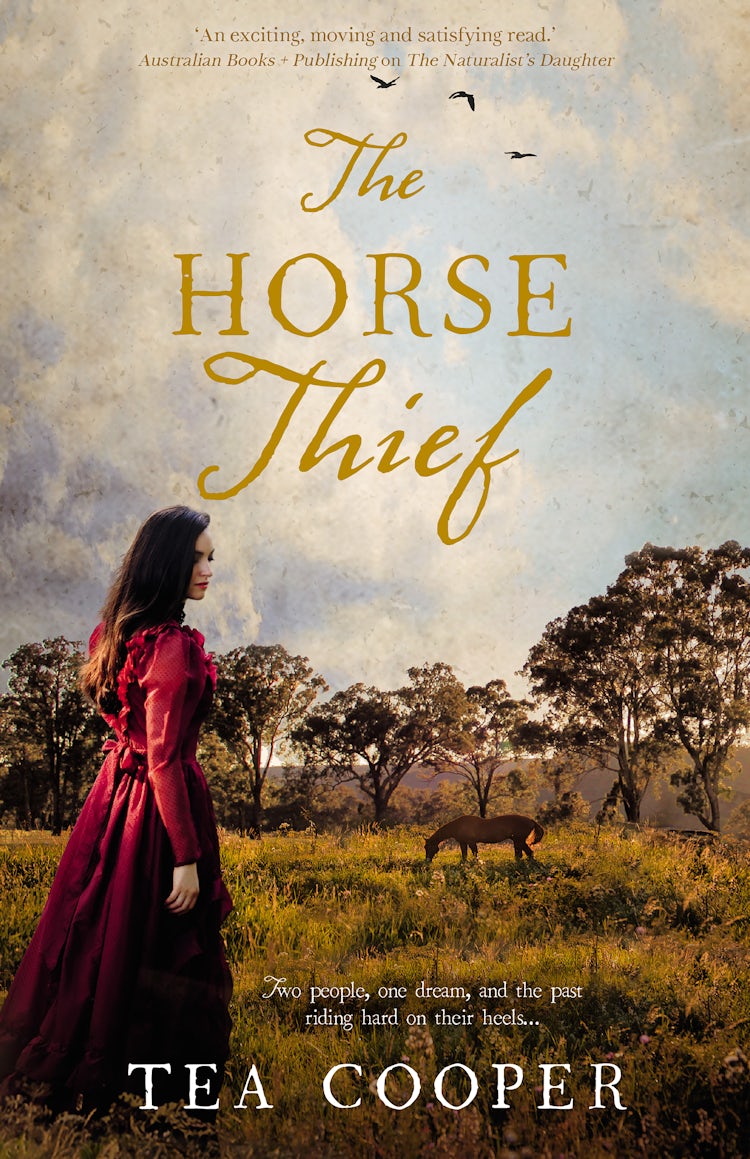 Cover image for The Horse Thief, isbn: 9781489237422