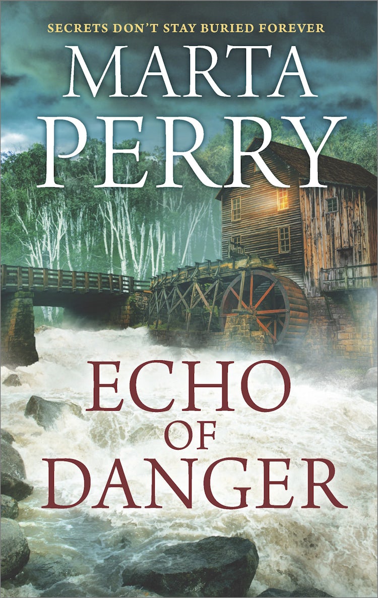 Cover image for Echo Of Danger, isbn: 9781489238528