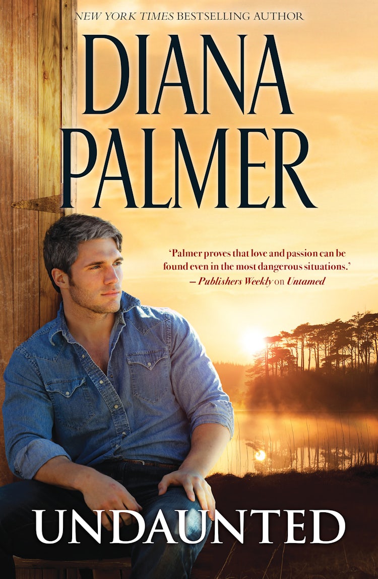 Cover image for Undaunted, isbn: 9781489239204