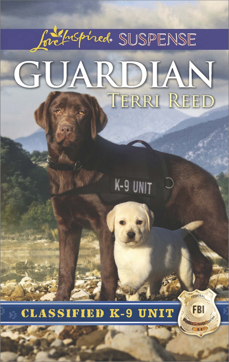 Cover image for Guardian, isbn: 9781489239457