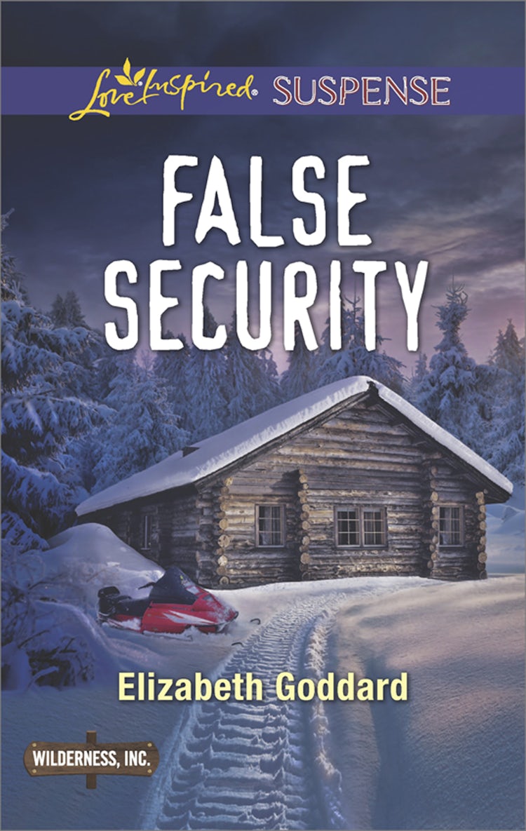 Cover image for False Security, isbn: 9781489239471
