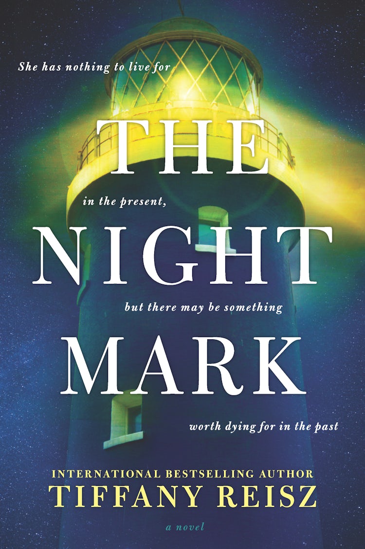 Cover image for The Night Mark: A Sweeping Time Travel Romance, isbn: 9781489239655