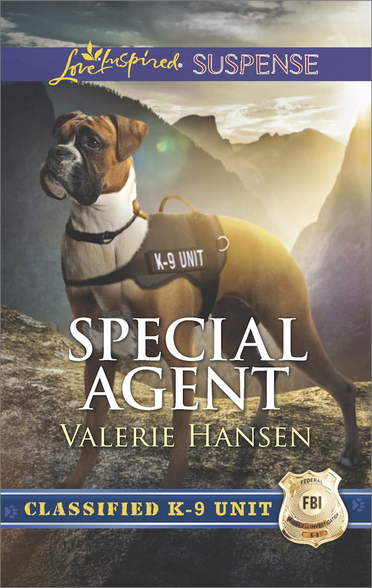 Cover image for Special Agent, isbn: 9781489240163