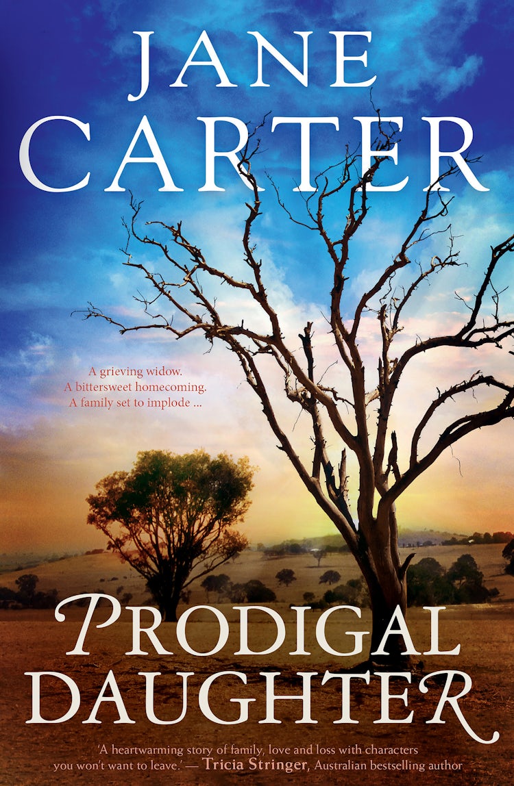 Cover image for Prodigal Daughter, isbn: 9781489241214