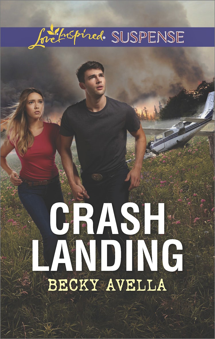 Cover image for Crash Landing, isbn: 9781489241771