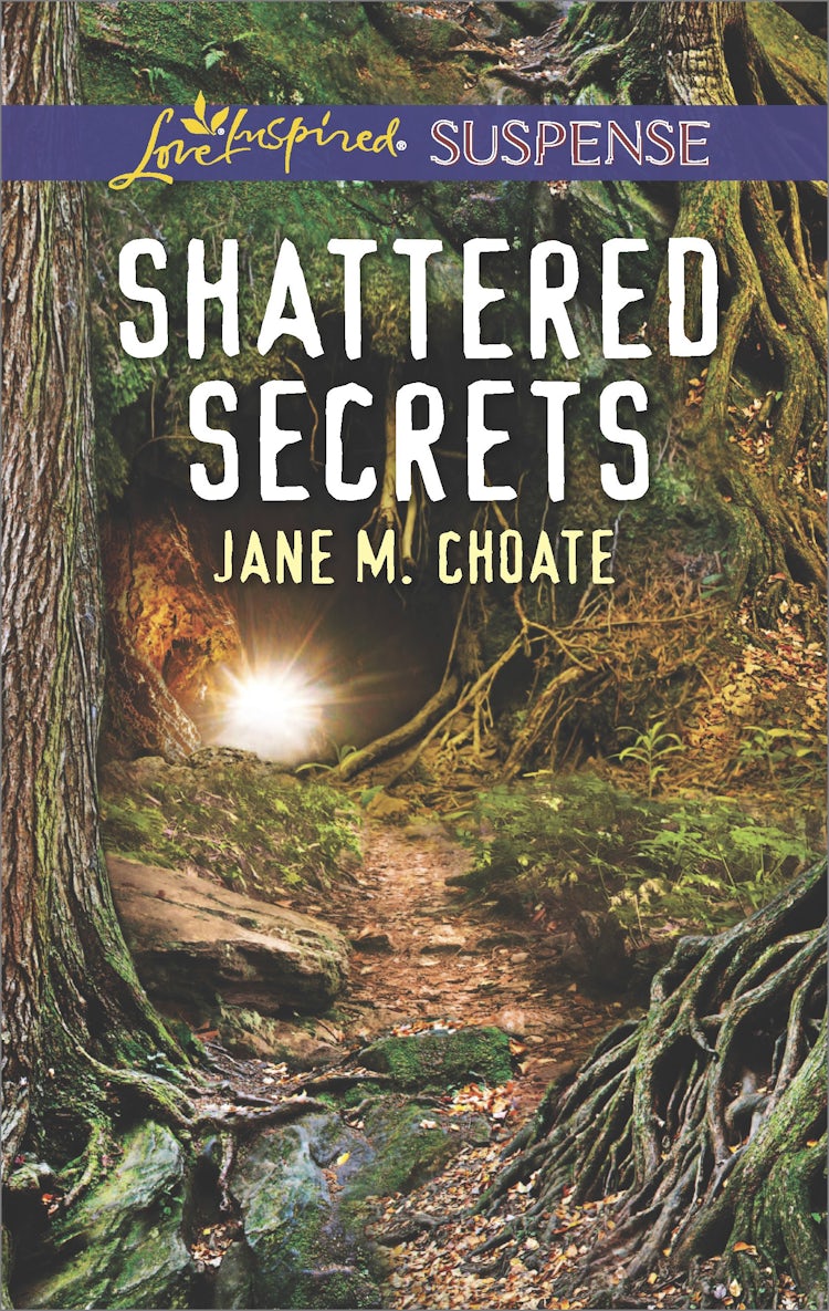 Cover image for Shattered Secrets, isbn: 9781489241788