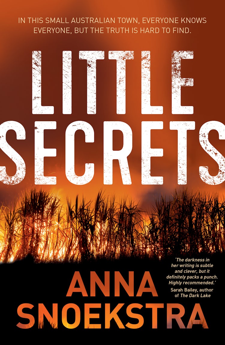 Cover image for Little Secrets, isbn: 9781489242266