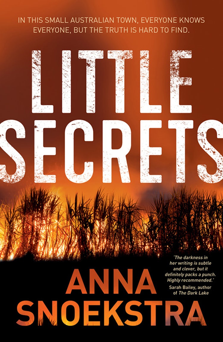 Cover image for Little Secrets, isbn: 9781489242280