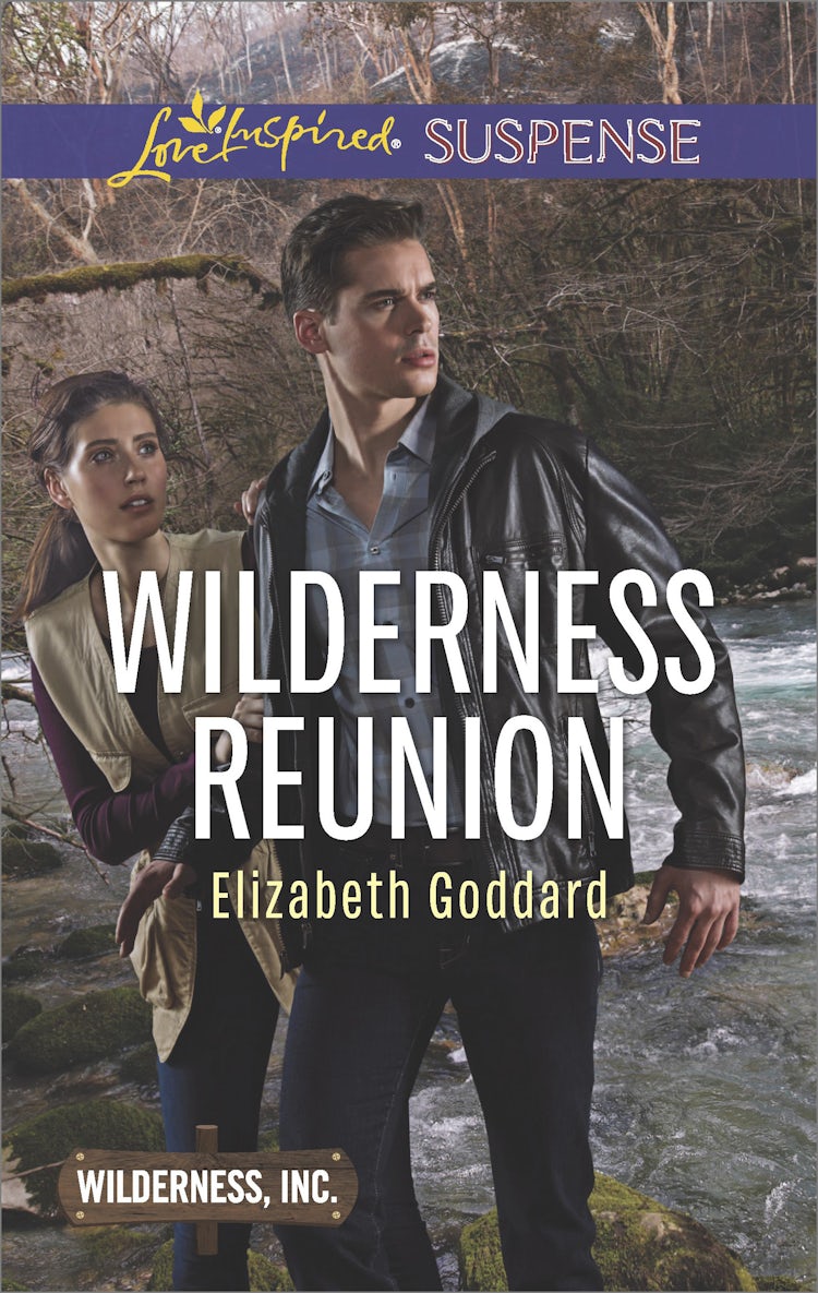 Cover image for Wilderness Reunion, isbn: 9781489243553