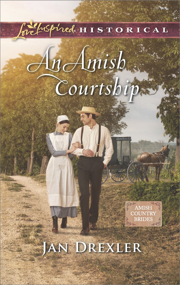 Cover image for An Amish Courtship, isbn: 9781489244475