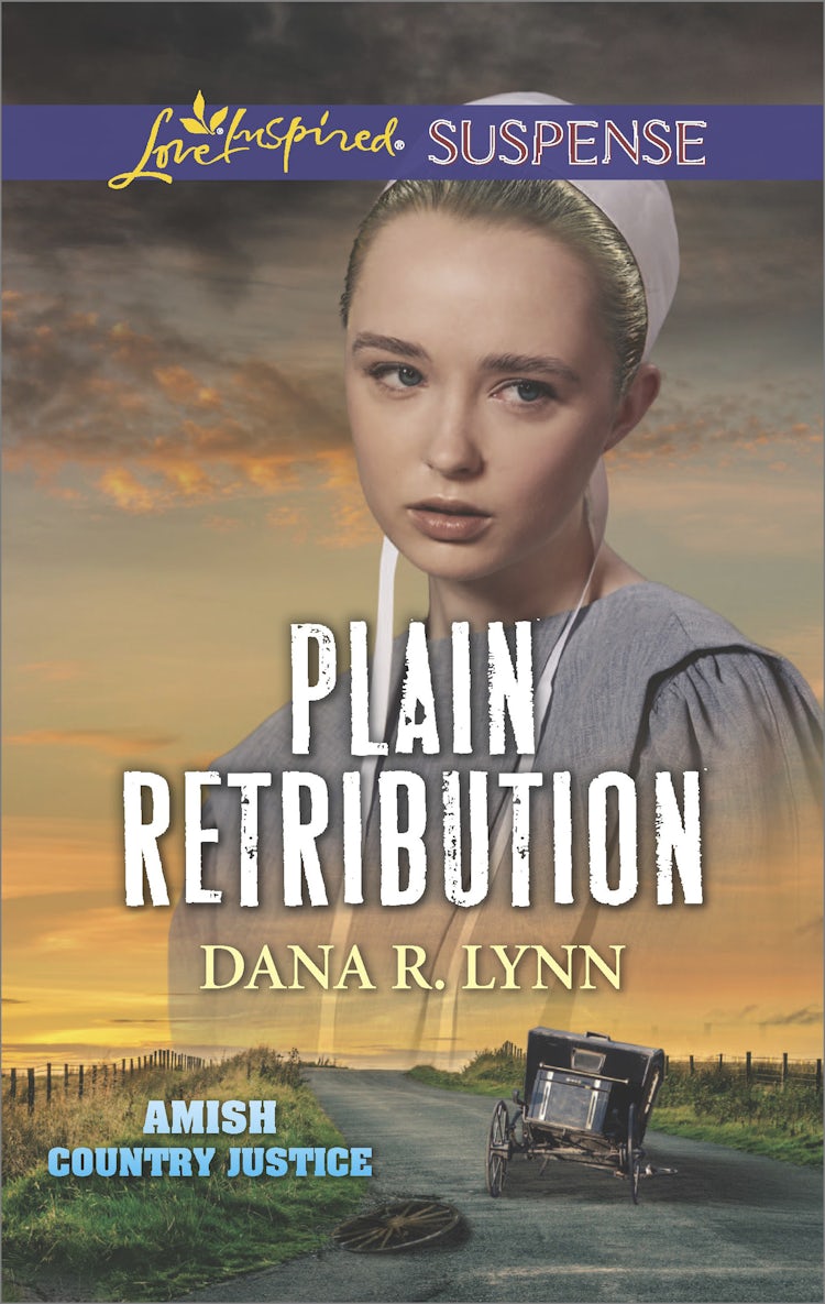 Cover image for Plain Retribution, isbn: 9781489244505