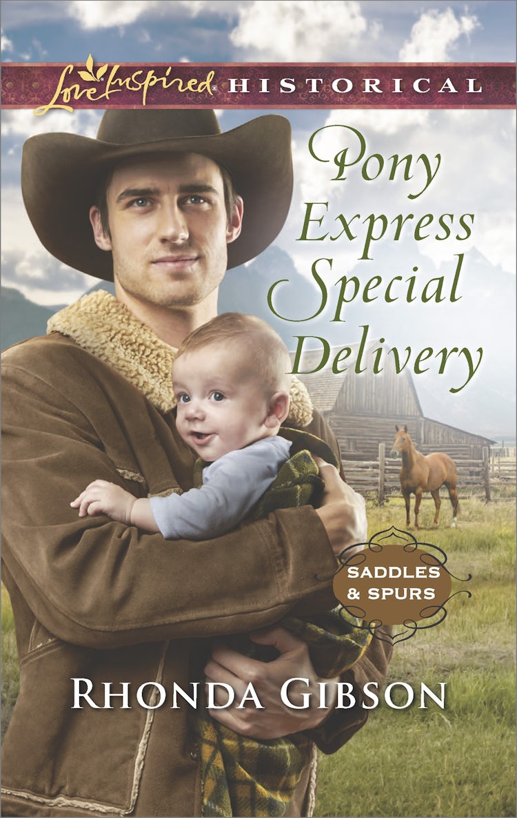 Cover image for Pony Express Special Delivery, isbn: 9781489246523