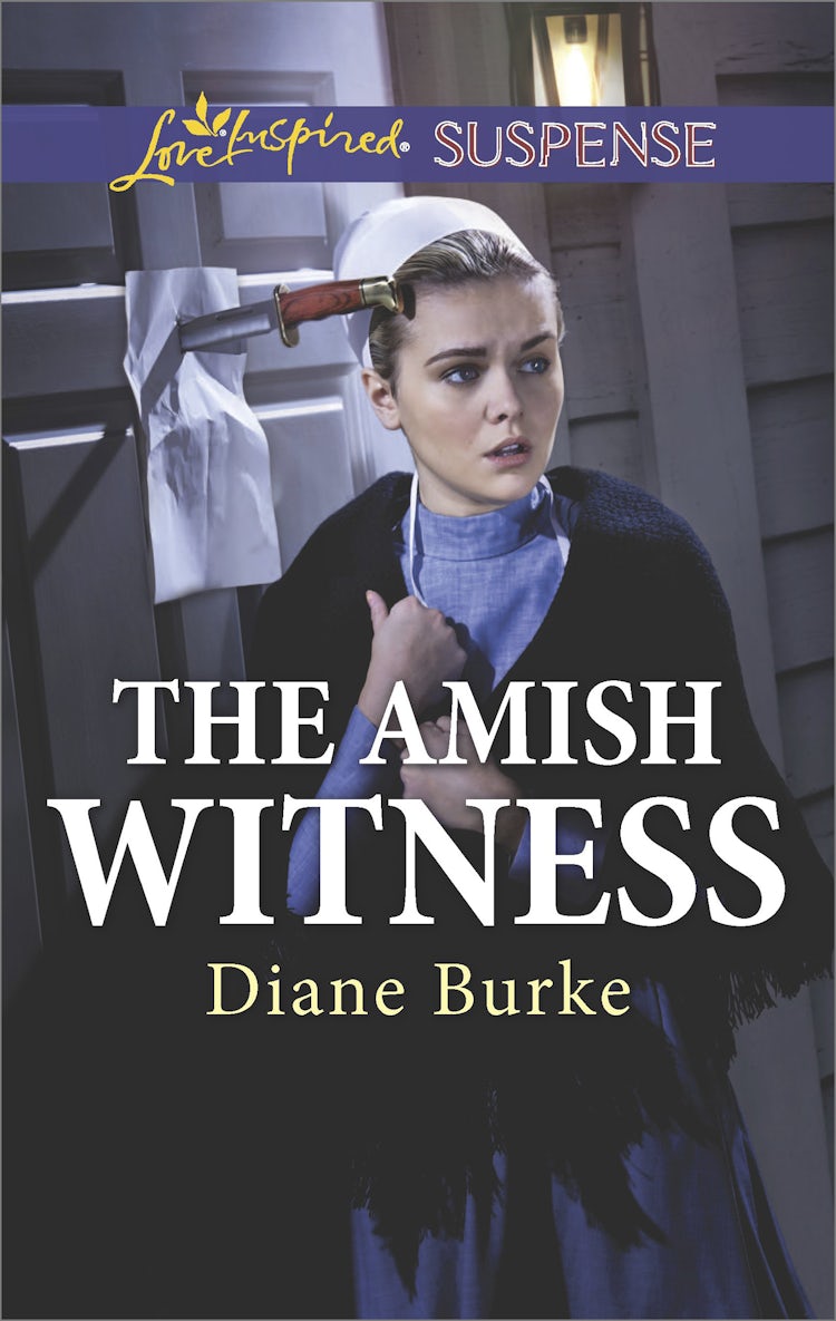 Cover image for The Amish Witness, isbn: 9781489246578
