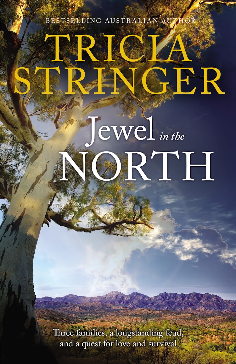 Cover image for Jewel In The North, isbn: 9781489246936