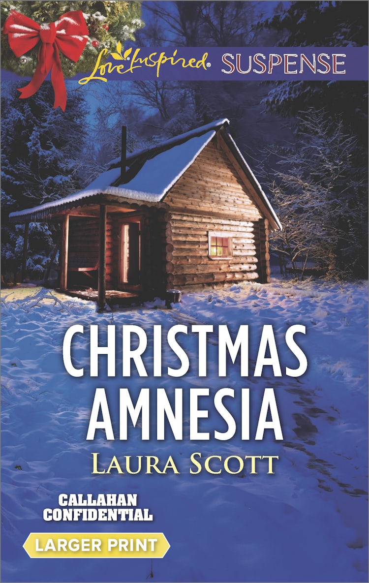 Cover image for Christmas Amnesia, isbn: 9781489248053