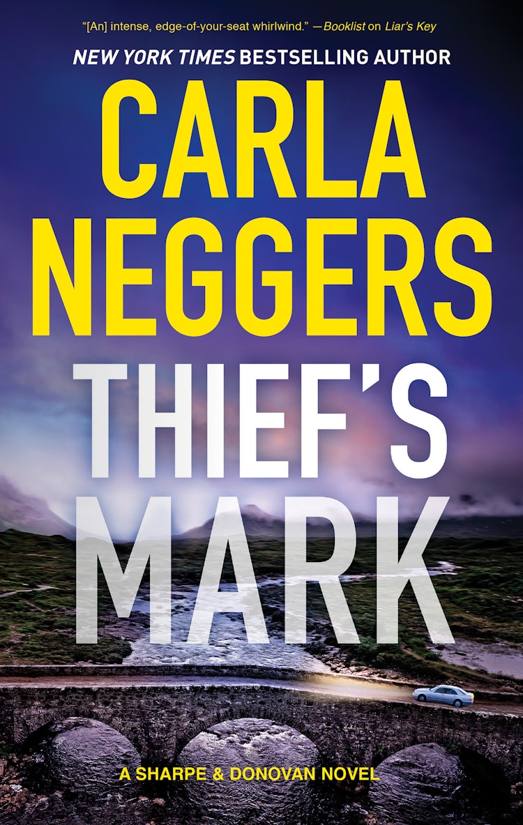 Cover image for THIEF'S MARK, isbn: 9781489248589
