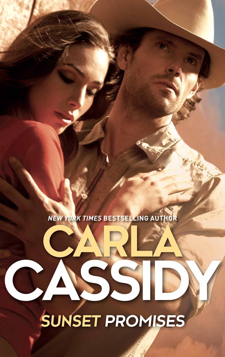 Cover image for Sunset Promises, isbn: 9781489248725