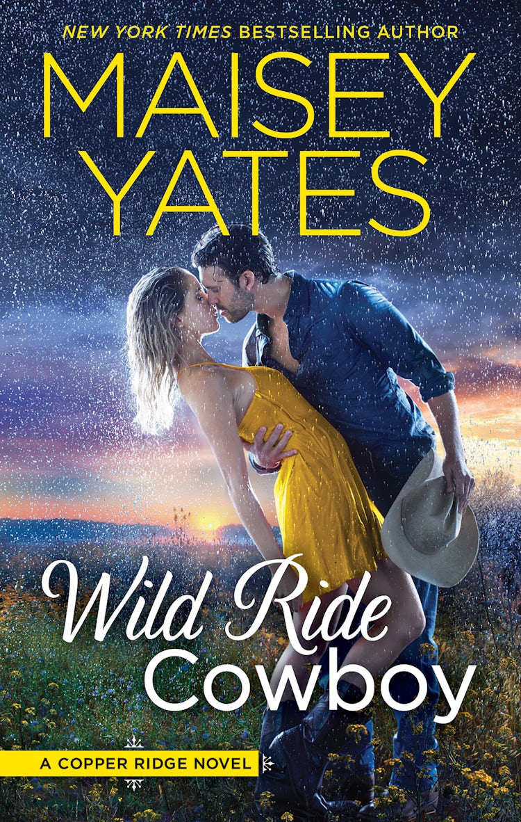 Cover image for Wild Ride Cowboy, isbn: 9781489249647