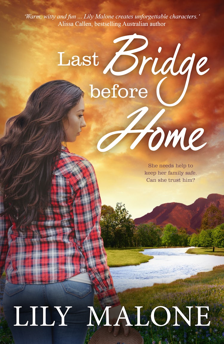 Cover image for Last Bridge Before Home, isbn: 9781489250506