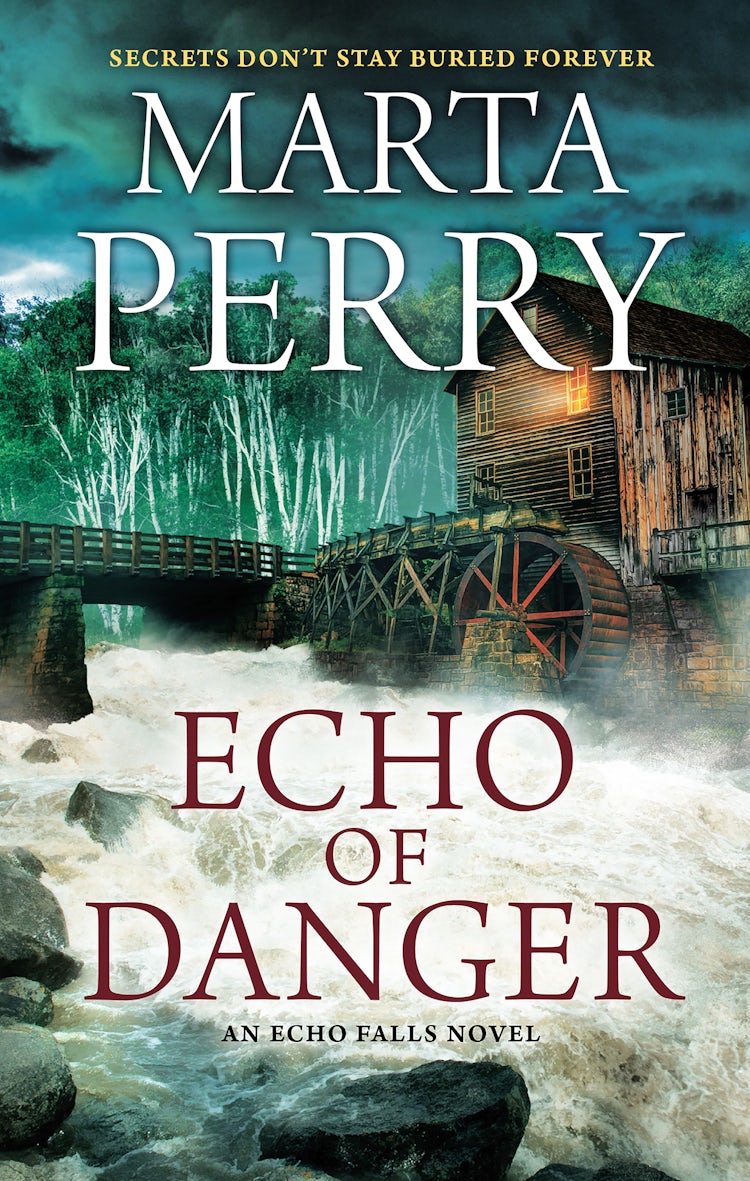 Cover image for Echo Of Danger, isbn: 9781489251442