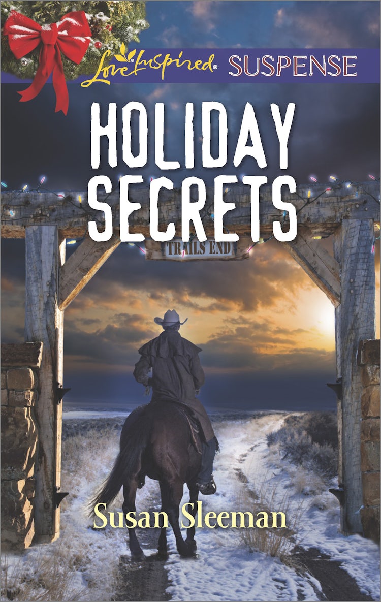 Cover image for Holiday Secrets, isbn: 9781489252579