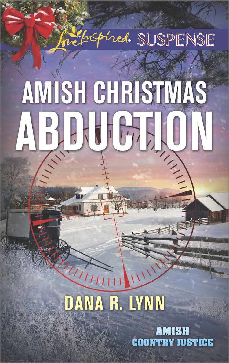 Cover image for Amish Christmas Abduction, isbn: 9781489252586