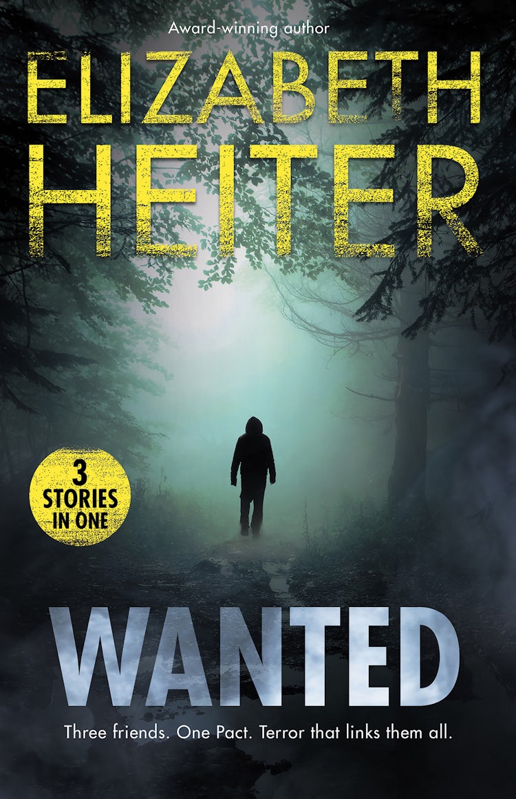 Cover image for Wanted - 3 Book Box Set, isbn: 9781489253972