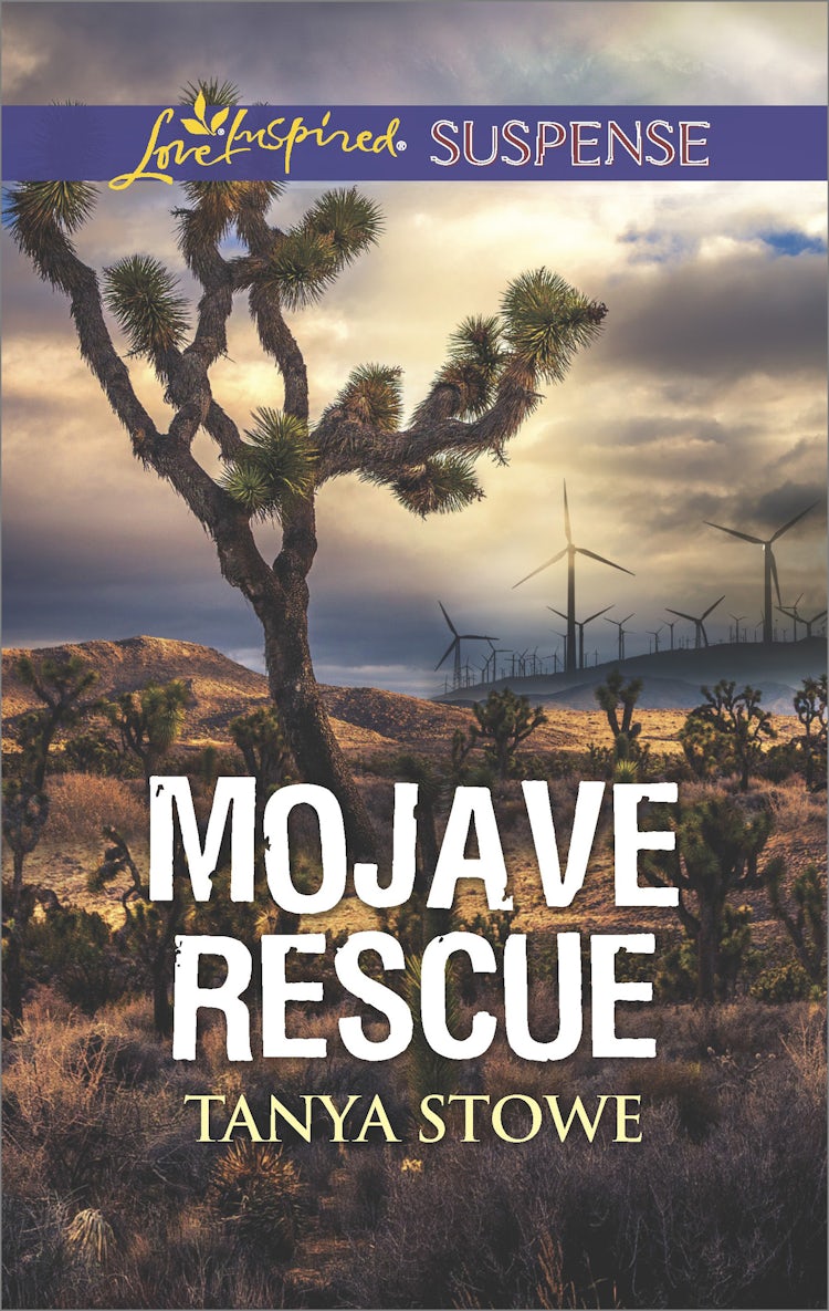 Cover image for Mojave Rescue, isbn: 9781489254238