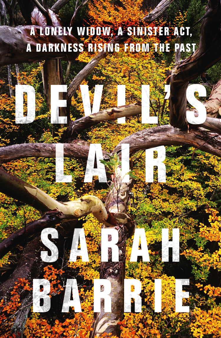Cover image for Devil's Lair, isbn: 9781489255280