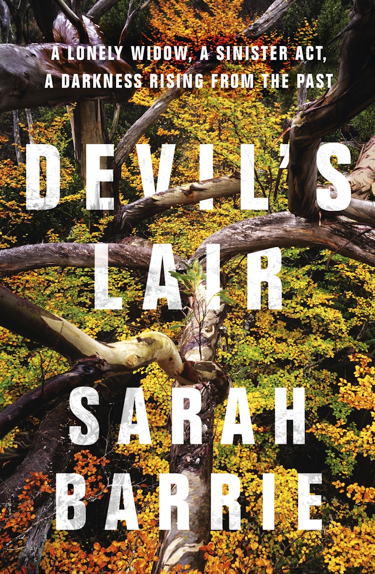 Cover image for Devil's Lair, isbn: 9781489255297
