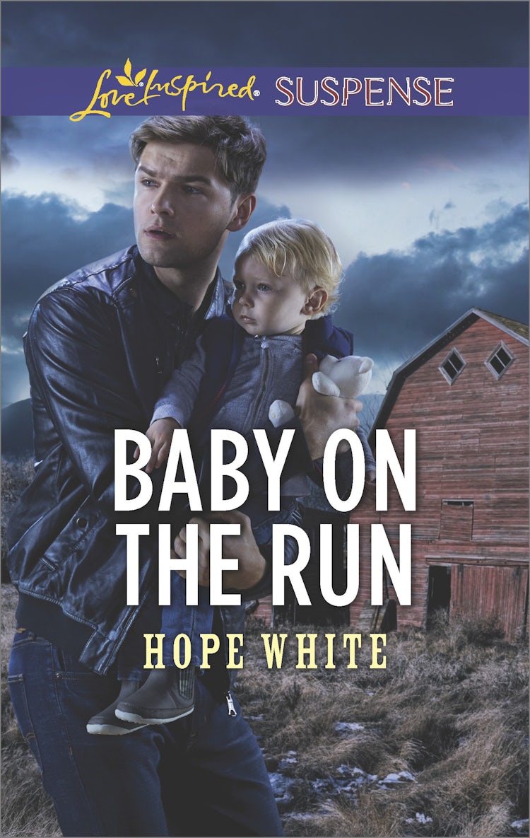 Cover image for Baby On The Run, isbn: 9781489256416